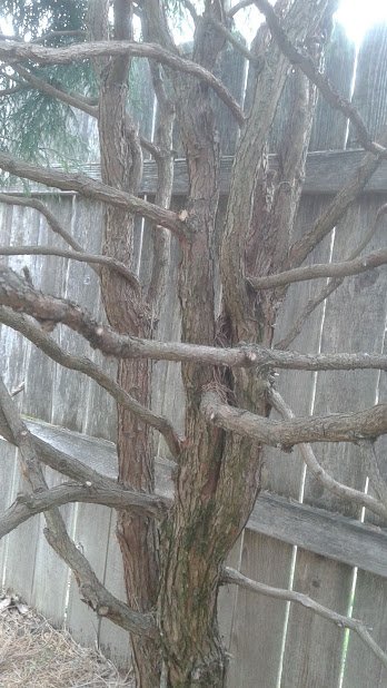 20190222_145234.jpg