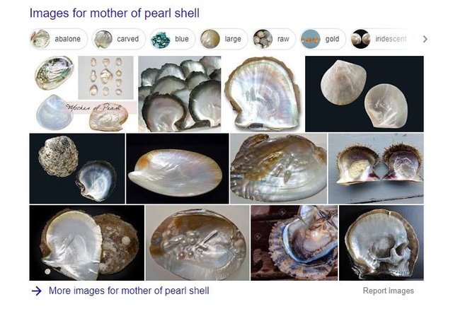 Mother of pearl shell.JPG