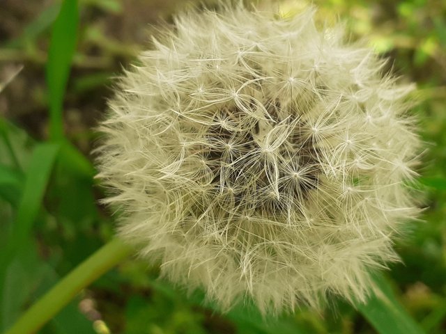 20250416_130838.jpg