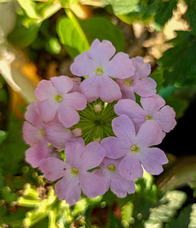 IMG20250116130055.jpg