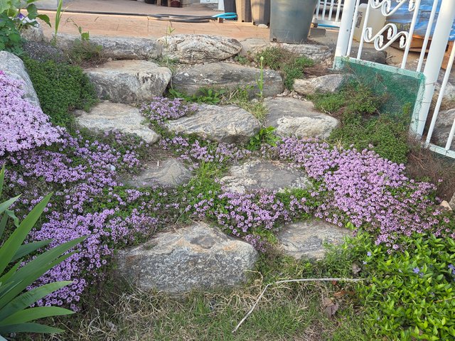 20250506_184434.jpg