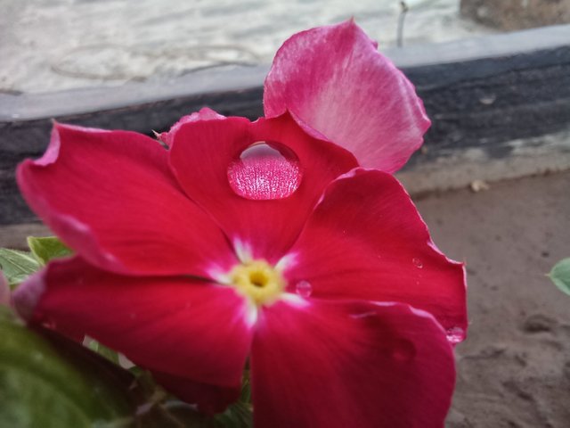 20210616_190129-01.jpeg