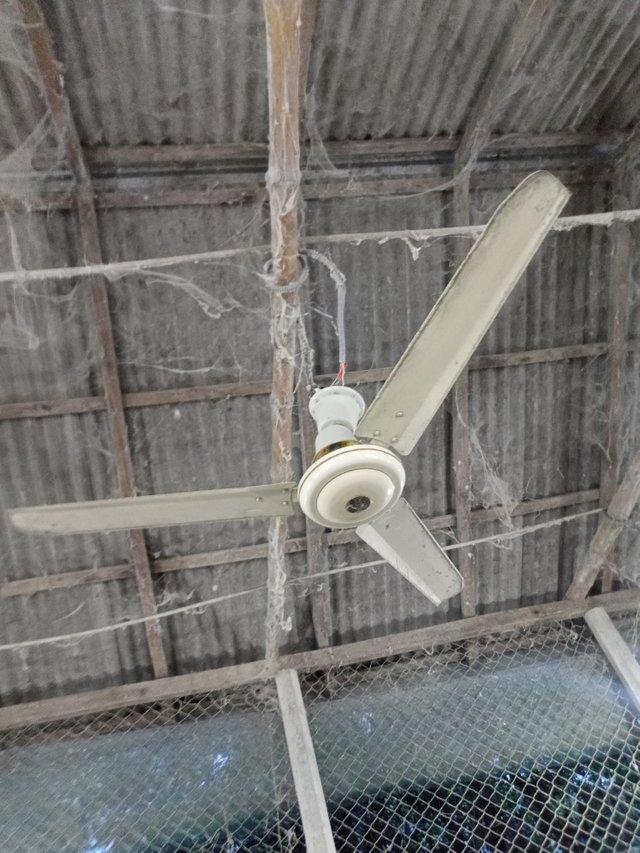 IMG20250820182640.jpg