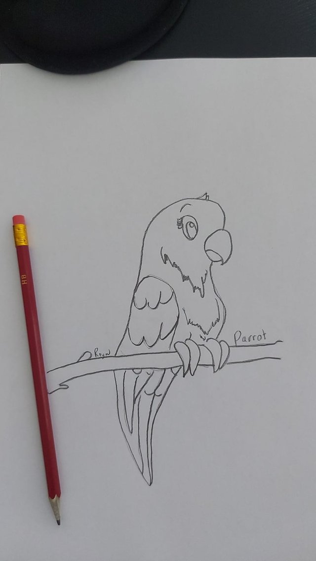 Parrot.jpeg
