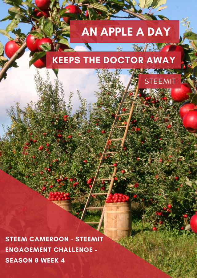 Red White Simple Modern Photo Apple Picking Orchard Farm Poster.png