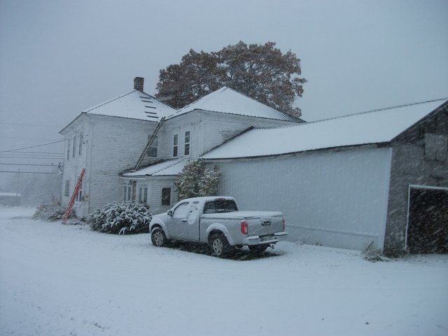 Snowy 006.JPG