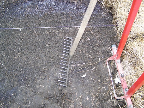 Rake tines crop May 2018.jpg