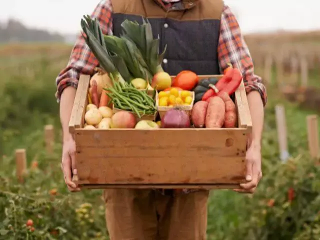 farmer-holding-box-of-vegetables.webp