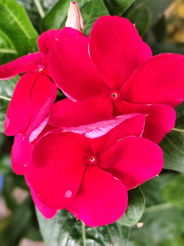 IMG_20250320_122541.jpg