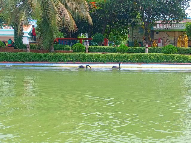 20250505_130007.jpg