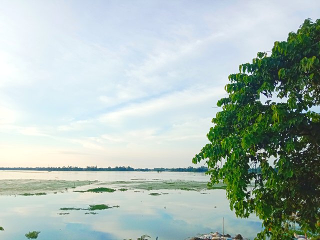 IMG_20250820_090119.jpg