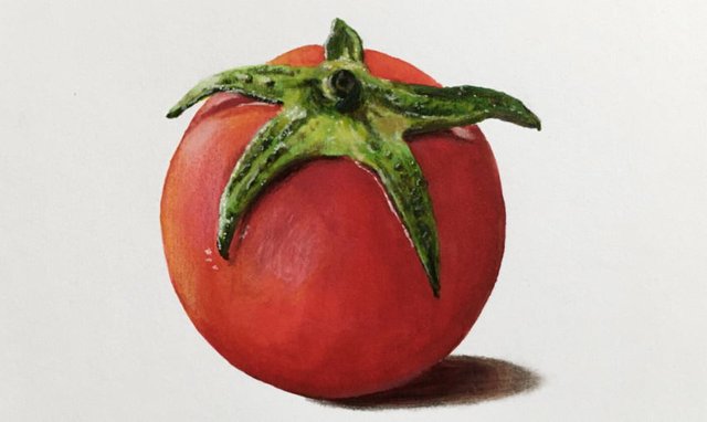 tomato-marker-drawing.jpg