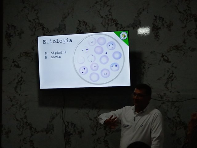 20250716_101823.jpg