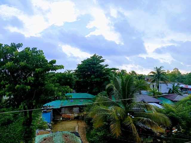 1000032780.jpg
