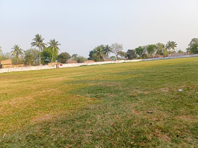 IMG20250315165514.jpg