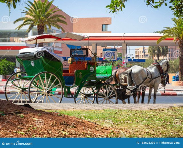 marrakesh-morocco-october-decorated-horse-drawn-carriage-awaiting-tourists-sunny-street-marrakesh-horse-drawn-carriage-182623339.jpg