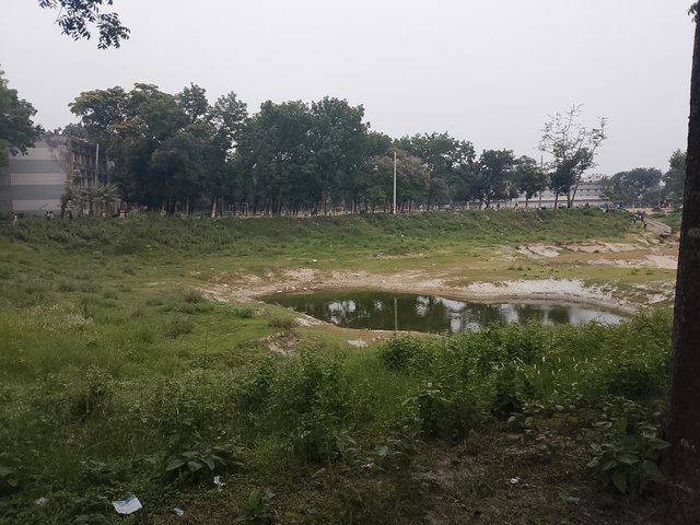 1000038021.jpg