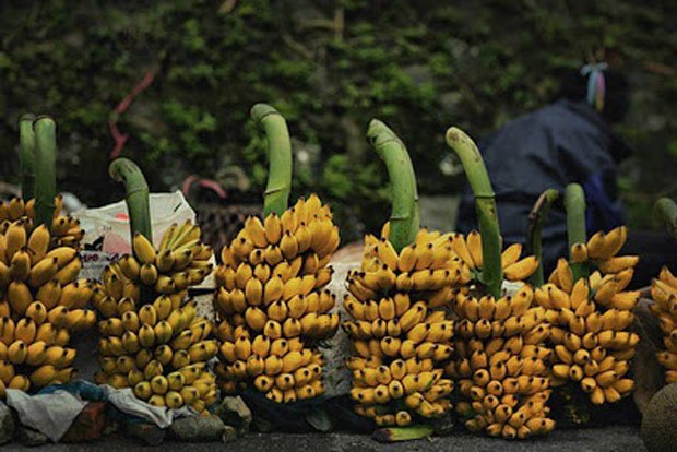The-Banana.jpg