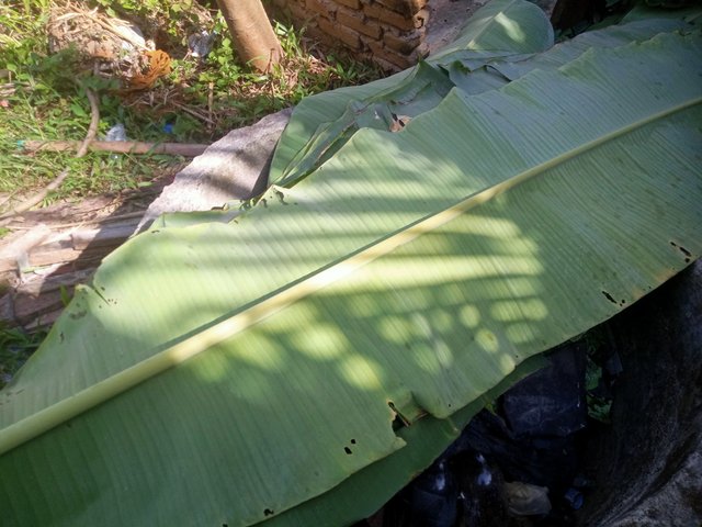 IMG20250906092238.jpg
