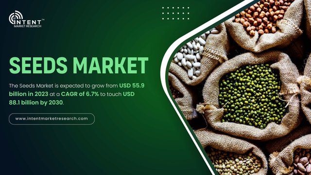 Seeds Market-01.jpg