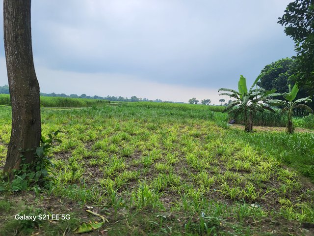 20250720_150930.jpg