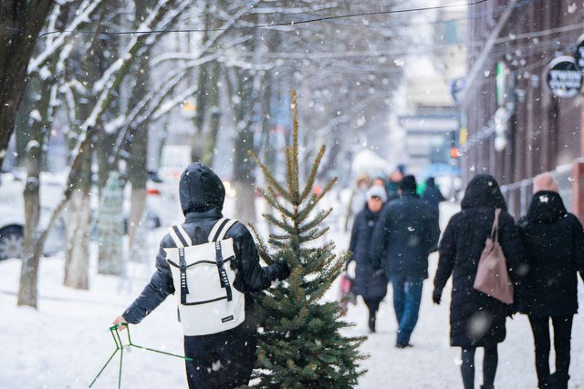 christmas-6895856_1920.jpg