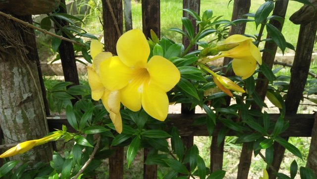IMG20220902100247.jpg