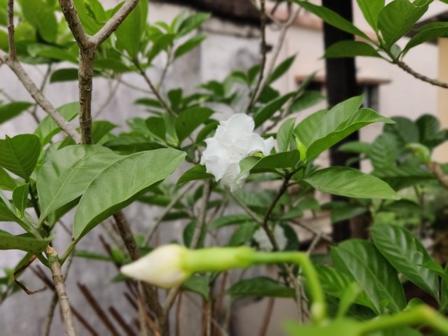 IMG_20250523_082511_Bokeh.jpg
