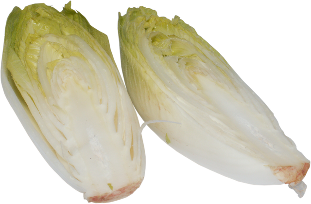 chicory-2201015_1280.png