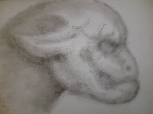 20250702_104003.jpg