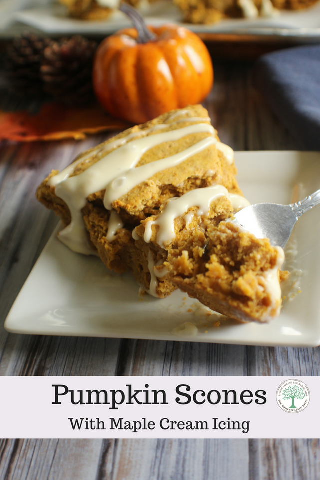 Pumpkin Scones.png