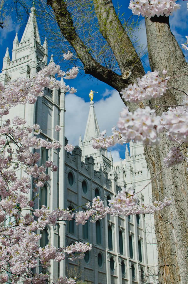 Moroni from the back on the temple park.JPG
