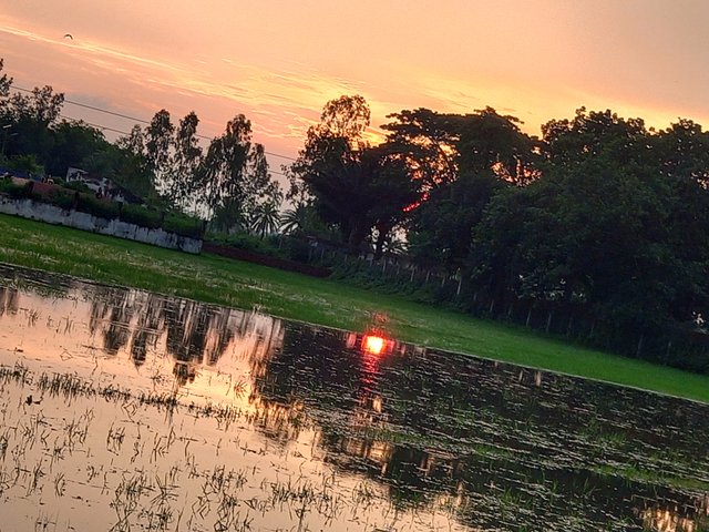 20250716_184156.jpg