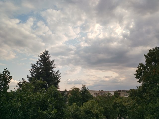 IMG_20250807_182852_HDR.jpg