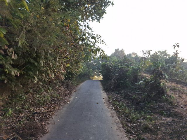 20240120_071752.jpg