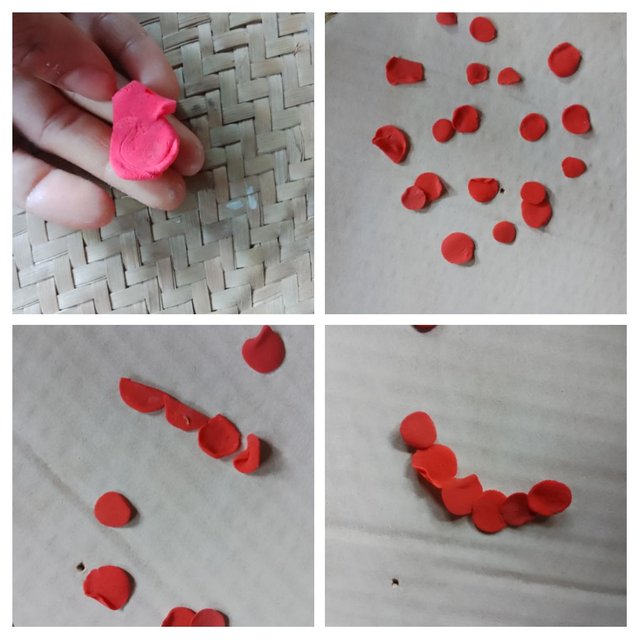 IMG_20250617_095421-COLLAGE.jpg