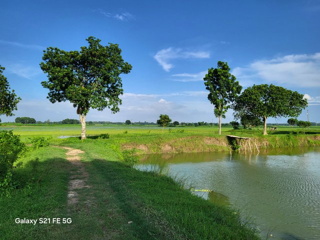 20250711_170637.jpg