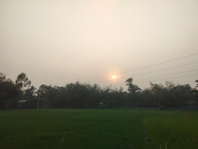 IMG20250228171210.jpg