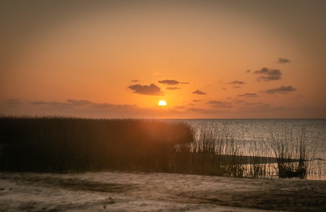 DSC_7492.jpg
