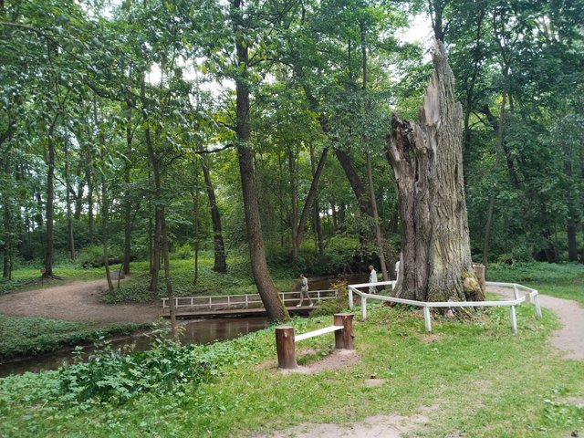 IMG_20250706_172050.jpg
