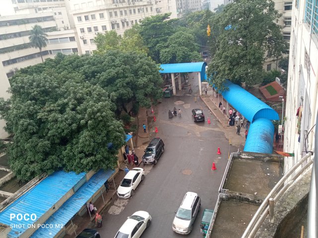 IMG_20251009_100218.jpg