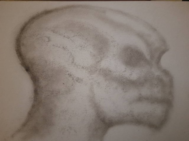 20250731_101819.jpg