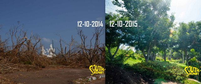 HudHud-Before-and-After-2.jpg