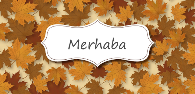 merhaba.png