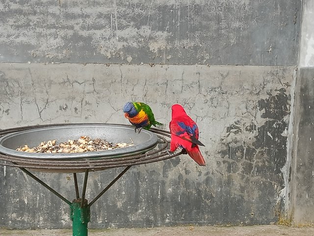 IMG20250103114702.jpg
