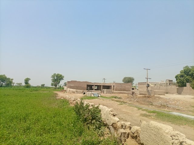 IMG_20250428_113046_439.jpg