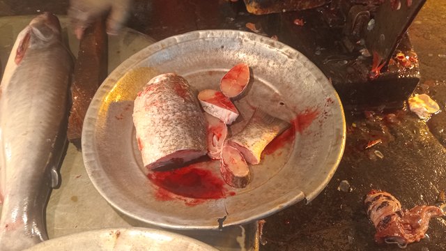 20250919_121607.jpg