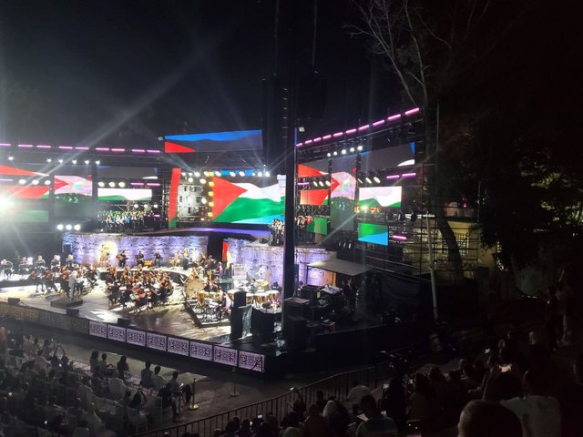dédicase au palestine.jpeg