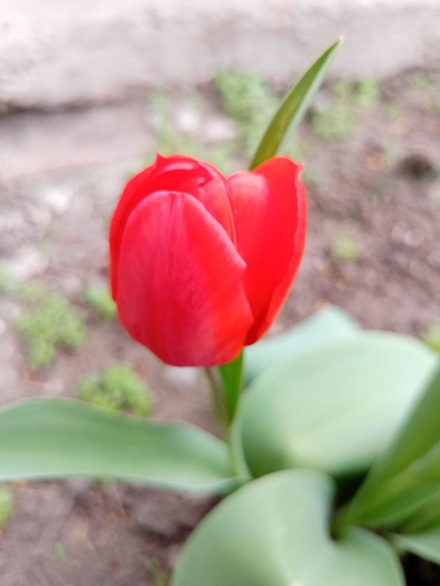 IMG_20250412_132247_489.jpg