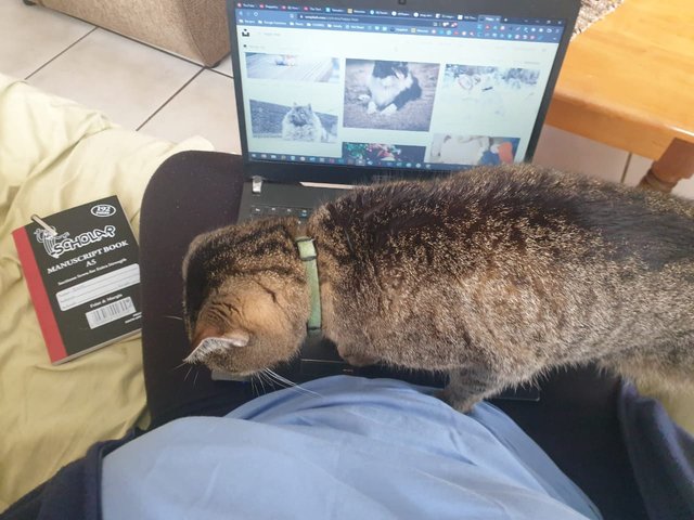 Office helper 3.jpeg